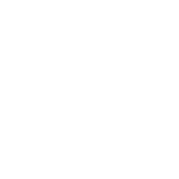 Apple Music Icon